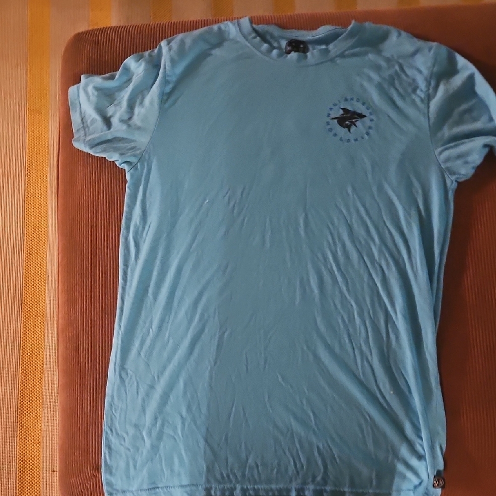 Blue Graphic T-Shirt